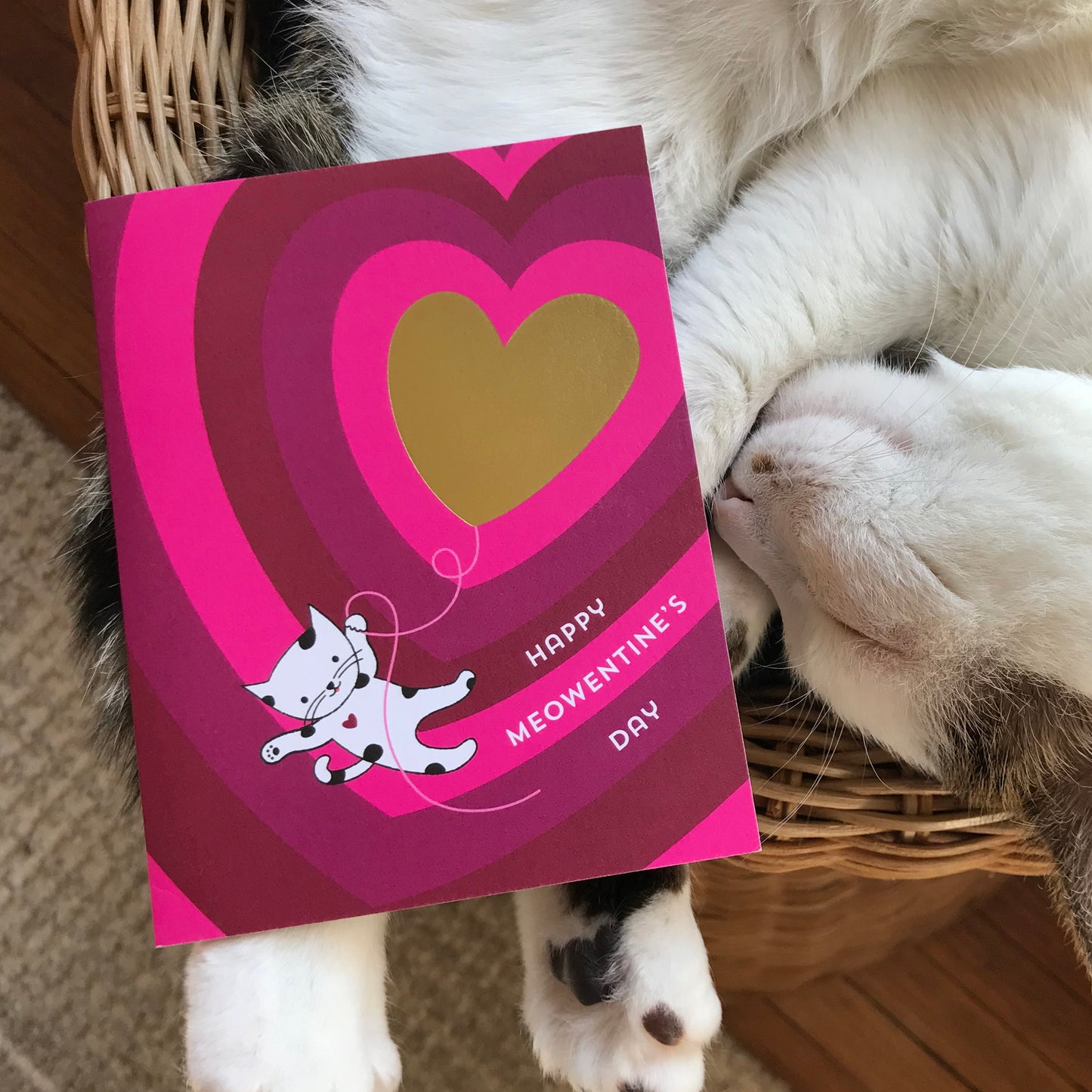 Valentine card with gold foil heart balloon with white illustrated kawaii cute cat with black spots and red heart swinging from the balloon's string. Card is hot pink and warmer pinks. Photo also features the card resting on a sleeping white and black cat.