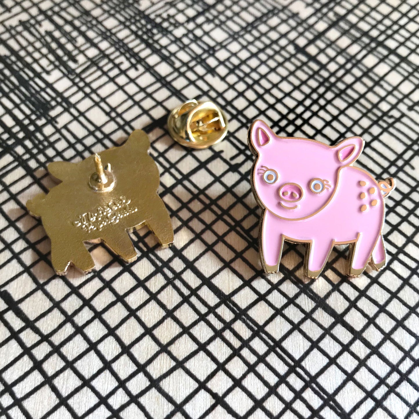 Photo of Pig