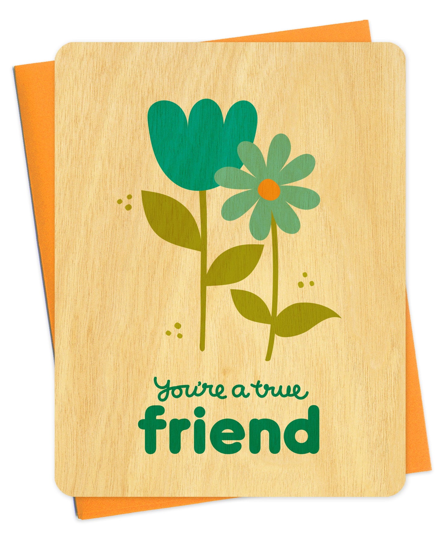 Photo of True Friend
