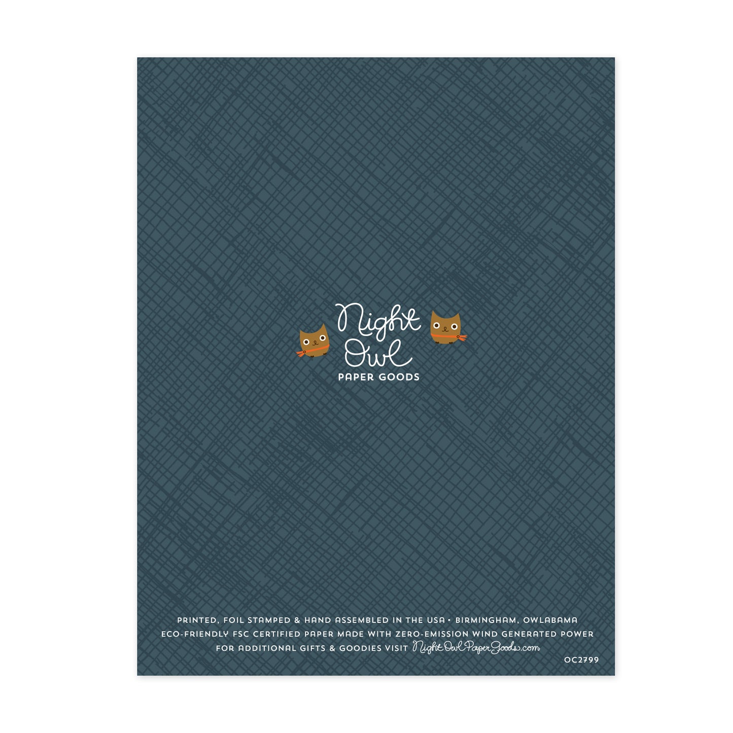 Back of card with Night Owl Paper Goods logo and owls on a blue crosshatch background.  Text at bottom reads "Printed, foil stamped & hand assembled in the USA. Birmingham, Owlabama. Eco-friendly FSC certified paper made with zero-emission wind generated power.