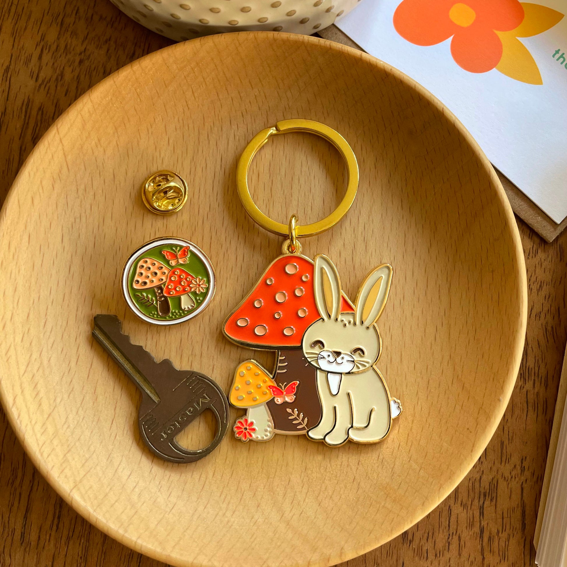 Photo of Bunny Rabbit