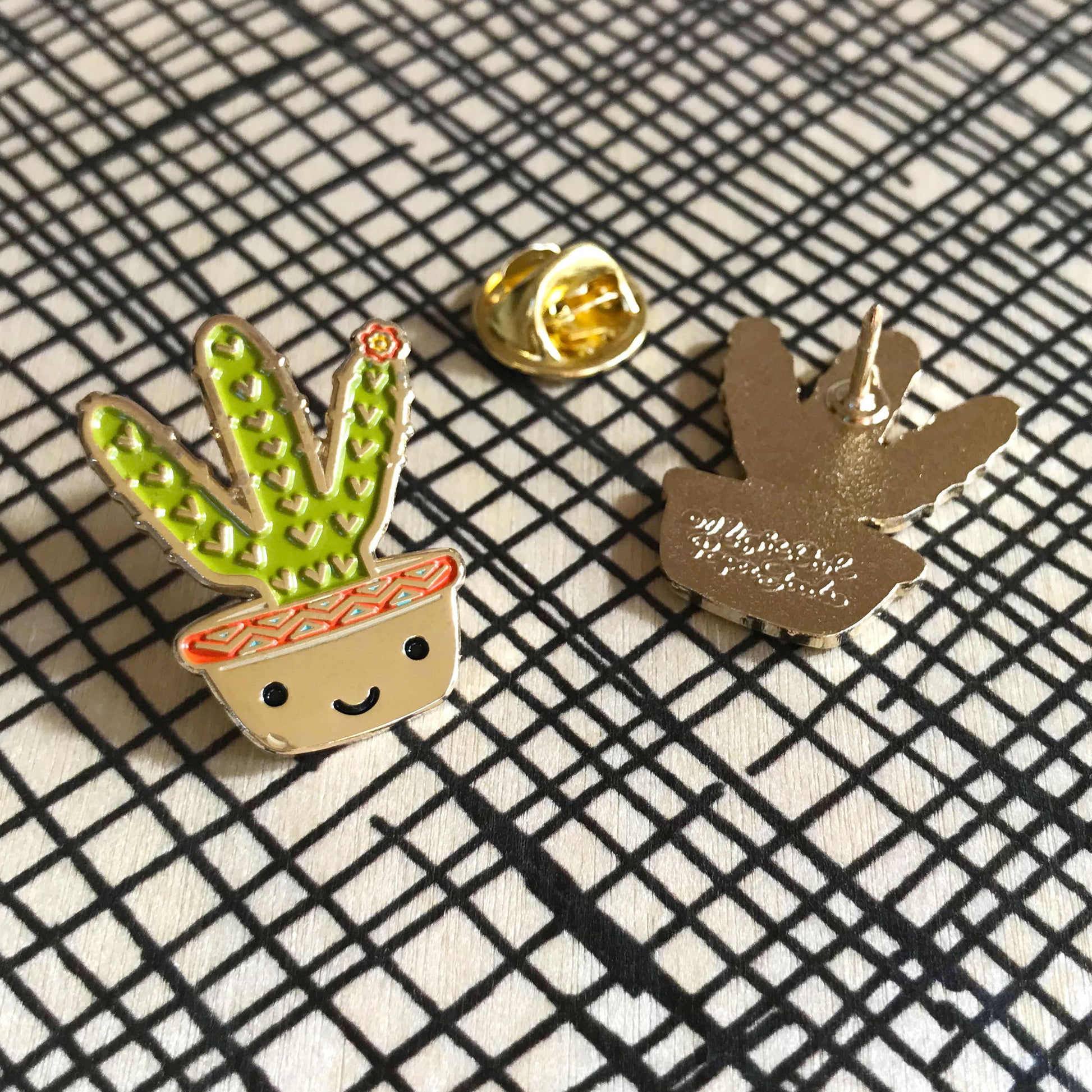 Photo of Cactus