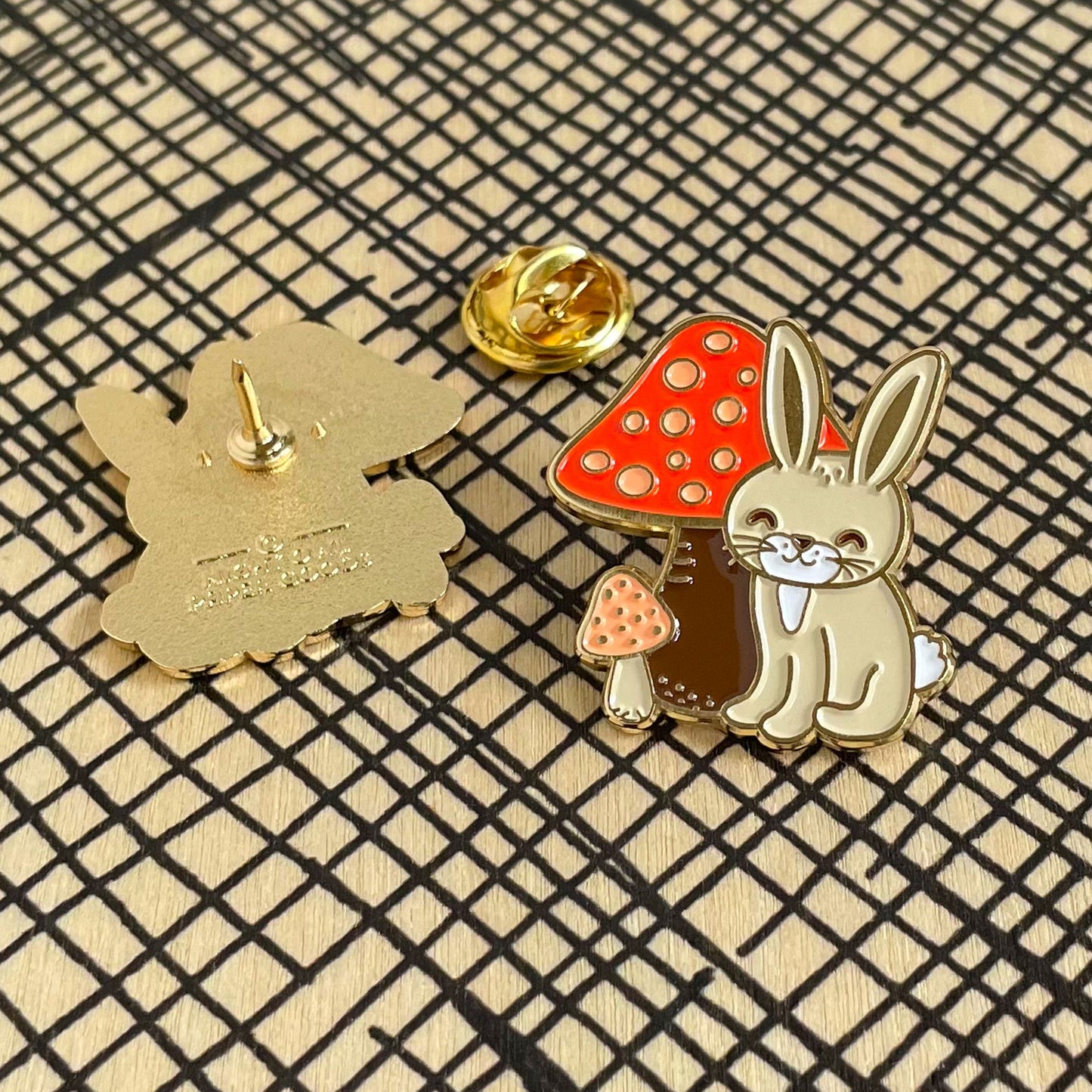 Photo of Bunny Rabbit