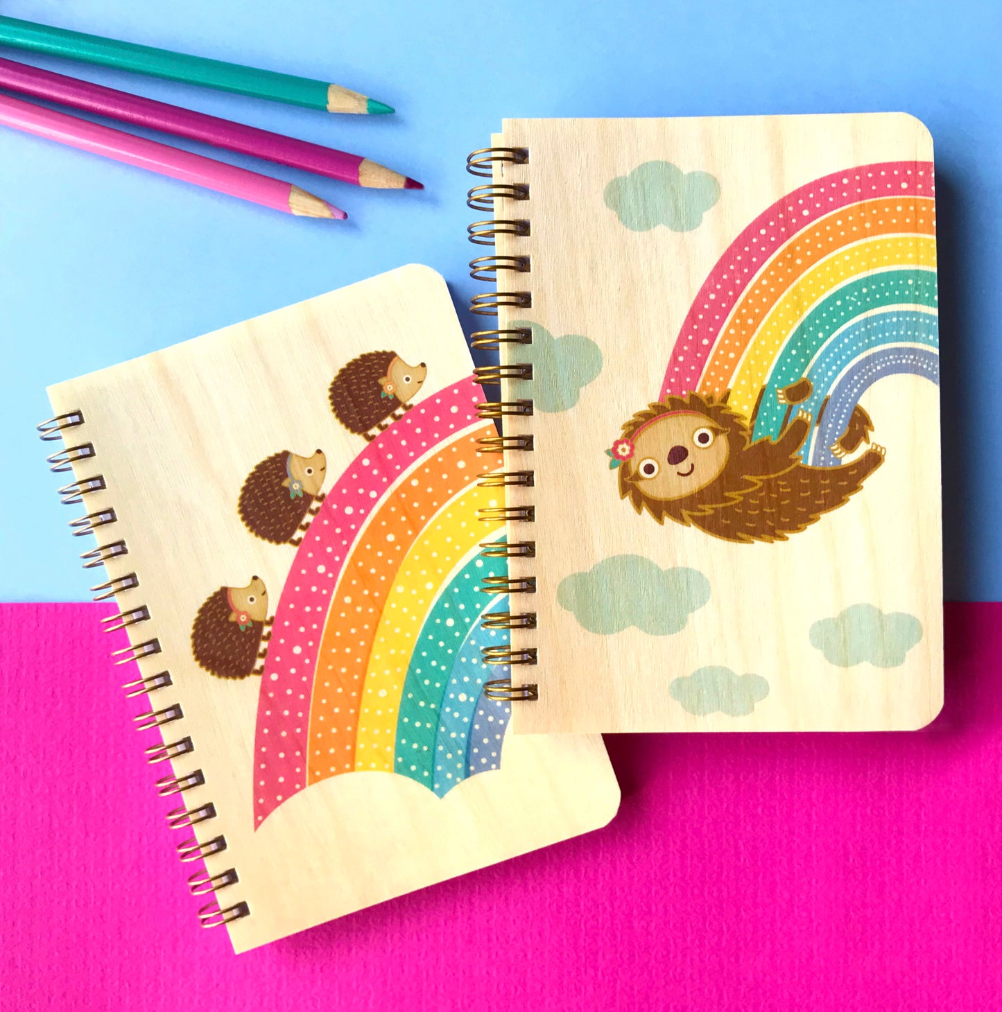 Photo of Rainbow Sloth