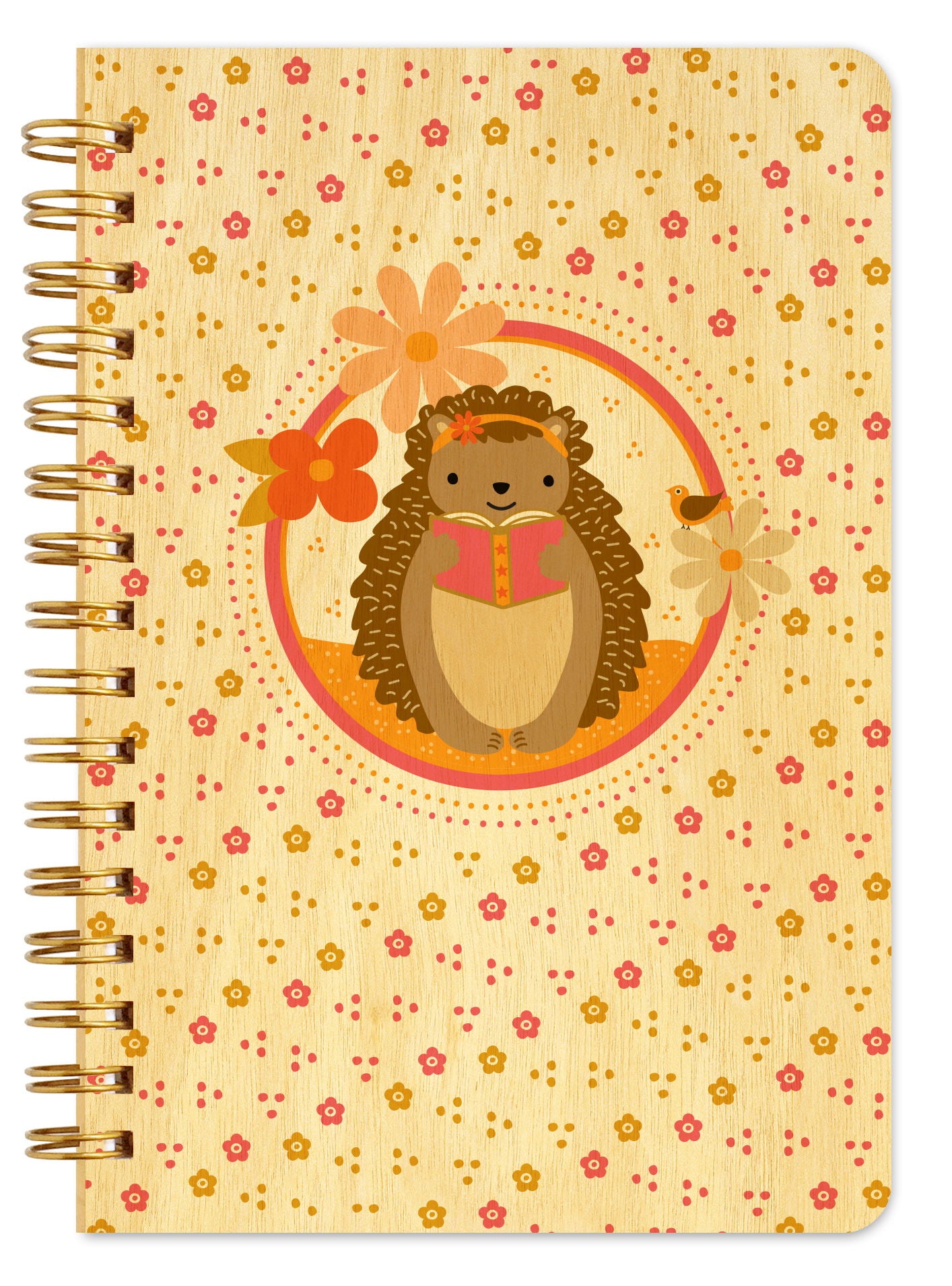 Photo of Reading Hedgehog