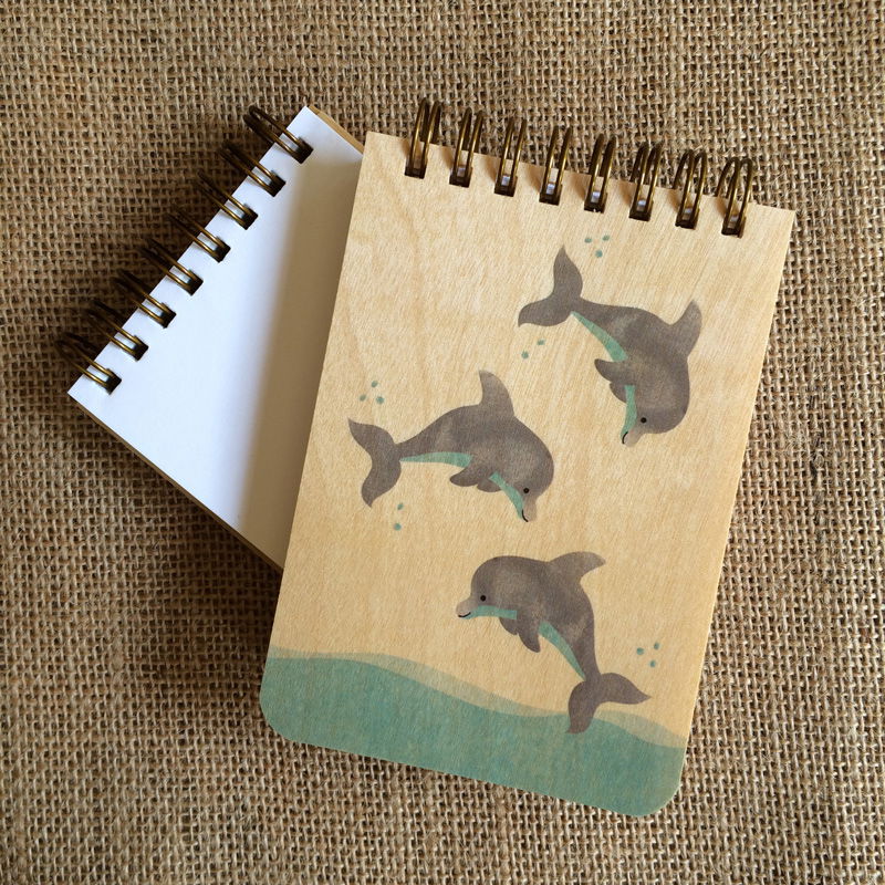 Photo of Dolphins