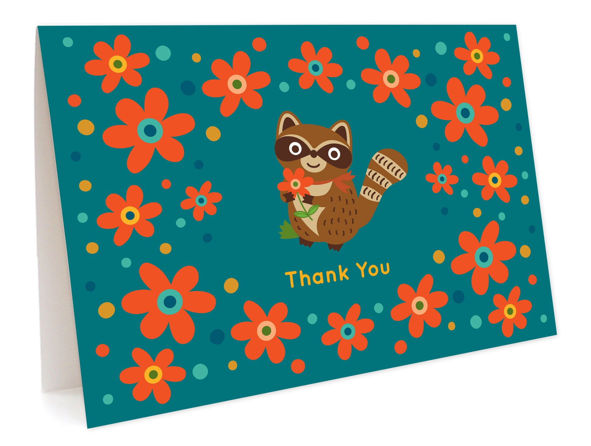 Photo of Raccoon
