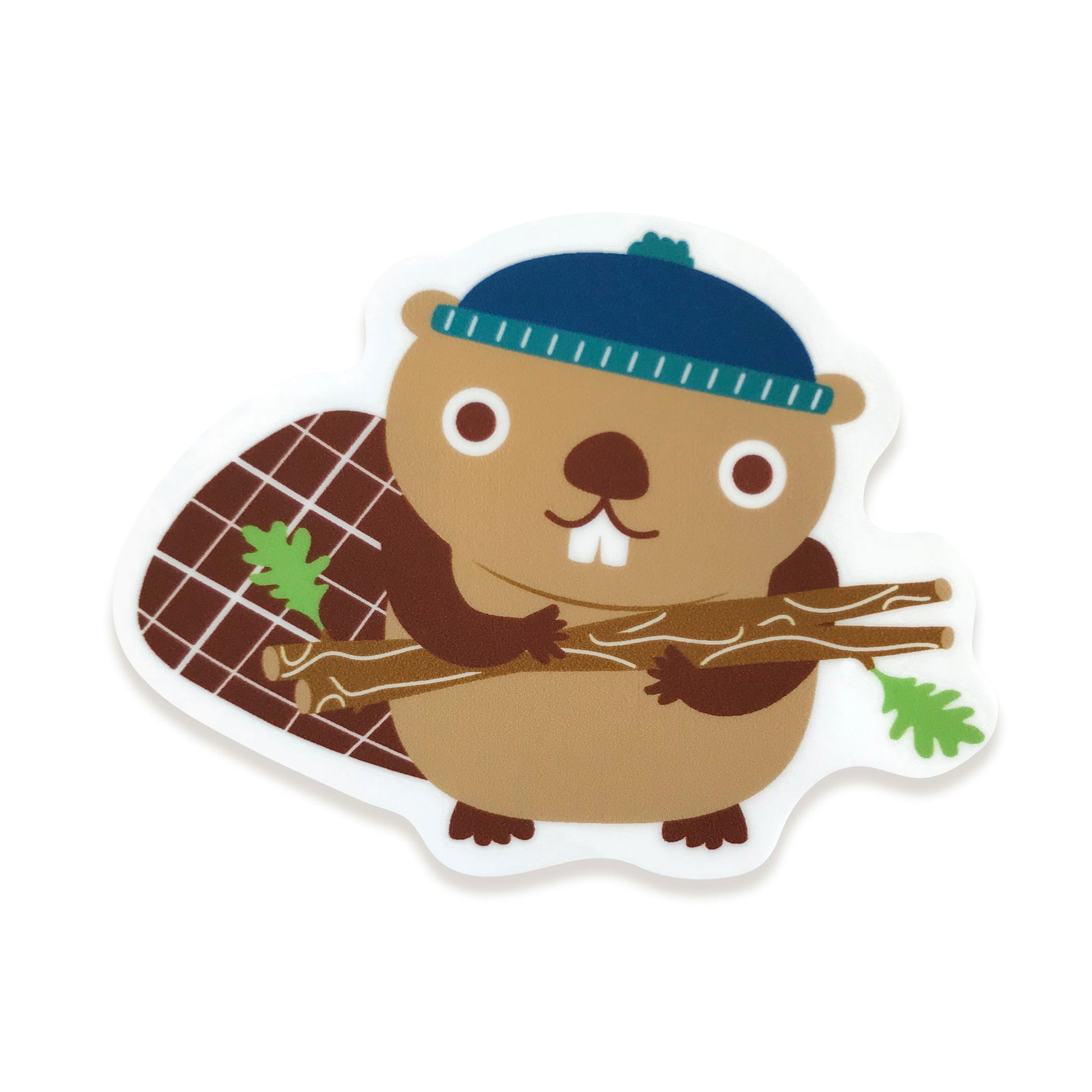 Photo of Beaver