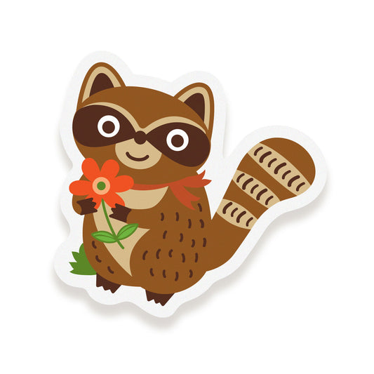 Photo of Raccoon