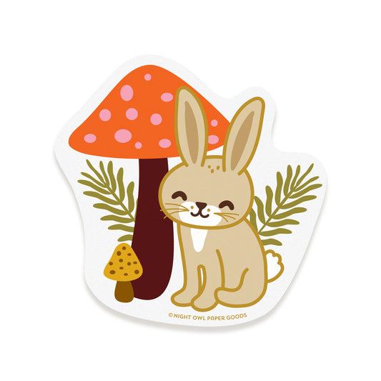 Photo of Rabbit